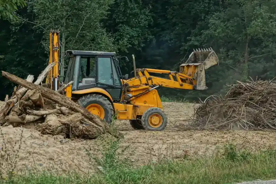 Benefits Of Hiring A Tree Service For Efficient Land Clearing Kelowna BC Benefits Of Hiring A Tree Service For Efficient Land Clearing Kelowna BC
