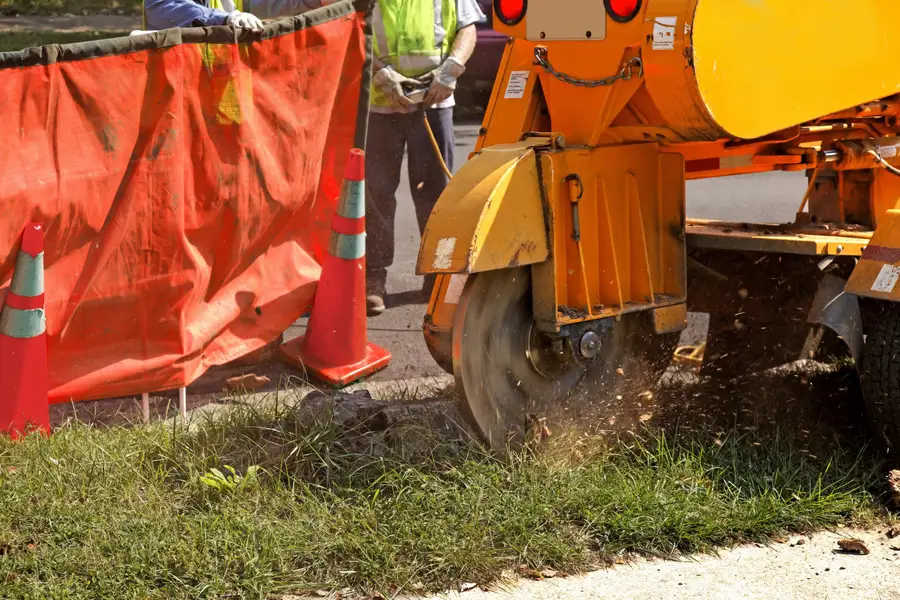 Experienced Stump Grinding Kelowna, BC Experienced Stump Grinding Kelowna, BC