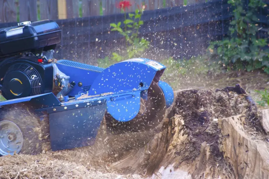 Professional Stump Grinding Kelowna, BC Professional Stump Grinding Kelowna, BC